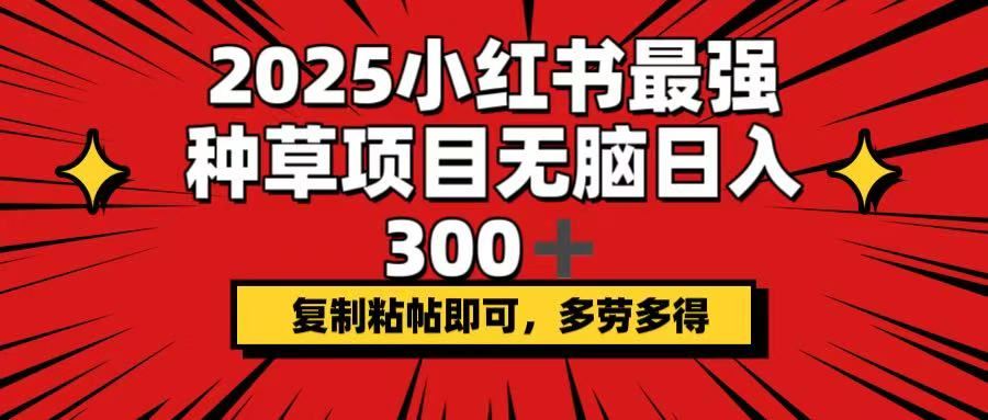 （14375期）2025小红书最强种草项目，无脑日入300+，复制粘帖即可，多劳多得-创享网