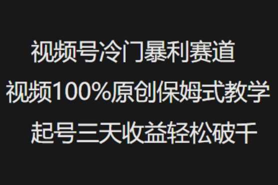 视频号冷门暴利赛道视频100%原创保姆式教学起号三天收益轻松破千-创享网