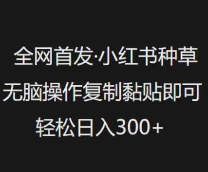 全网独家首发！小红书种草秘籍，无脑操作轻松上手，复制粘贴即享收益！-创享网