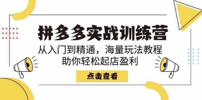 拼多多实战精英训练营：从入门小白到行业精英的蜕变之旅，海量实战教程，轻松开启盈利之门-创享网