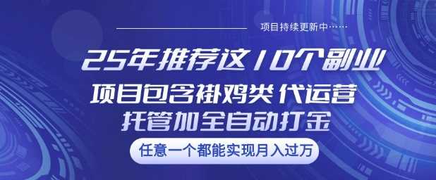 25年精选10大副业良机，涵盖挂机、代管及自动盈利项目【深度解析】-创享网