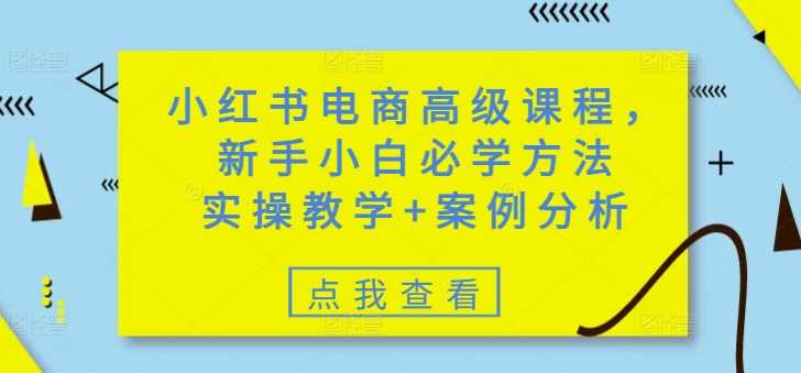 小红书电商精英修炼手册：新手蜕变之旅，实战指南+深度剖析案例-创享网