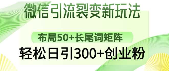 微信引流新纪元：构建50+长尾词网络，日获300+创业粉丝不再是梦-创享网