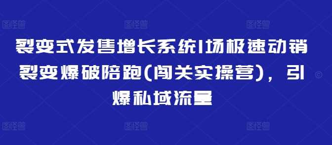 裂变式发售引爆私域流量——极速动销裂变实战训练营-创享网