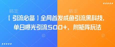 【引流秘籍】全网首发！咸鱼引流新科技，日曝500+精准粉，揭秘矩阵玩法。-创享网