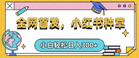 小红书种草，手机项目，日入3张，复制黏贴即可，可矩阵操作，动手不动脑【揭秘】