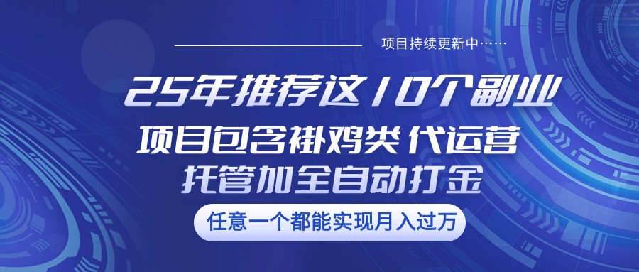 25年精选10大副业，涵盖养鸡副业、运营代管及全自动化盈利项目，助您多元化增收。-创享网