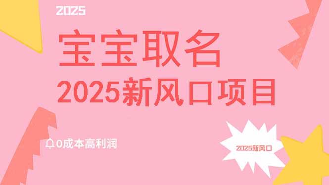 （14593期）2025新风口项目：宝宝取名秘籍，0成本打造高利润事业，保姆级教程助你月入过万不是梦-创享网