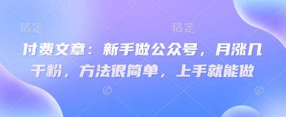 付费文章：新手做公众号，月涨几干粉，方法很简单，上手就能做