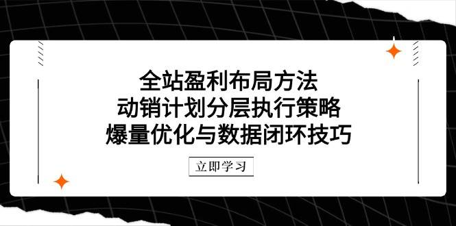 全站盈利布局秘籍：动销计划分层执行与爆量优化数据闭环战术-创享网