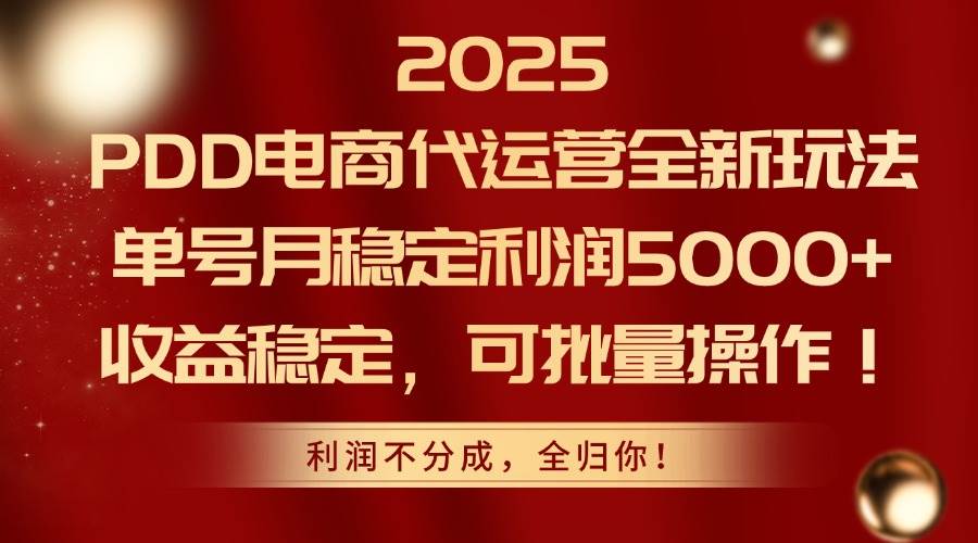 图片[1]-2025年PDD电商代运营革新策略，单号月收益稳健突破5000+，收益稳固，可轻松实现规模化运营-创享网