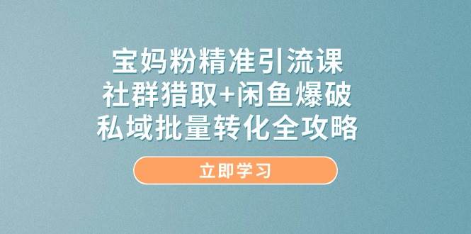 宝妈粉精准引流宝典：社群猎取+闲鱼爆破，揭秘私域批量转化终极策略-创享网