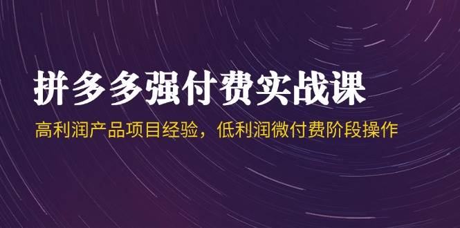 拼多多44期强付费实战课程：解锁高利润与低利润微付费双重盈利秘籍-创享网