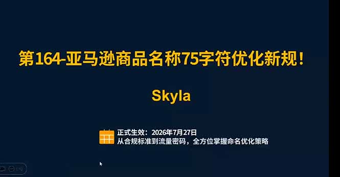 图片[2]-亚马逊跨境实战课，全品类选品逻辑+SP/SB/SD广告精细化+新品打爆旺季爆单全教程 - 创享网-创享网