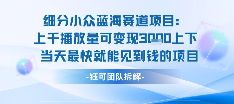 小众蓝海赛道项目：当天变现1k+适合新手操作 +适合长期玩 - 创享网-创享网