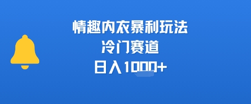 情趣内衣暴利玩法，冷门赛道，日入1k+ - 创享网-创享网