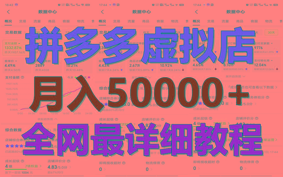 拼多多虚拟电商训练营月入50000+你也行，暴利稳定长久，副业首选 - 创享网-创享网