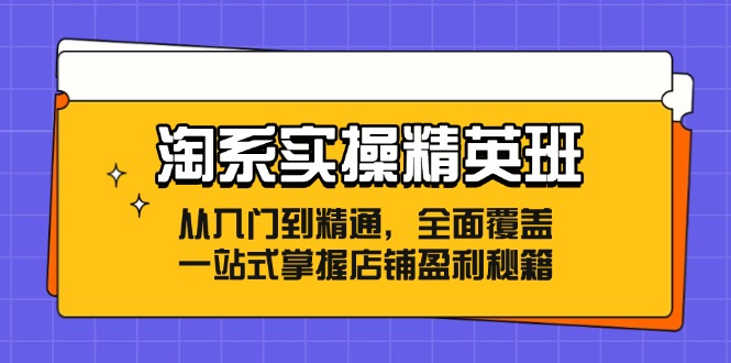 淘系实操精英班：从入门到精通，全面覆盖，一站式掌握店铺盈利秘籍 - 创享网-创享网