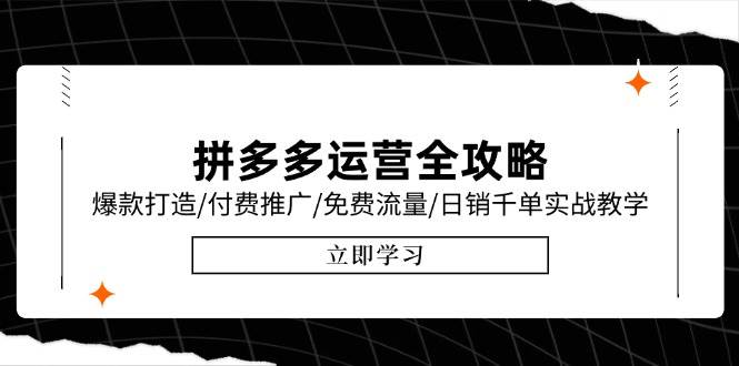 （15085期）拼多多运营全攻略，爆款打造/付费推广/免费流量/日销千单实战教学/6月更新 - 创享网-创享网