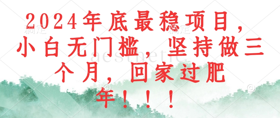 2024年底最稳项目，小白无门槛，坚持做三个月，回家过肥年！！！ - 创享网-创享网