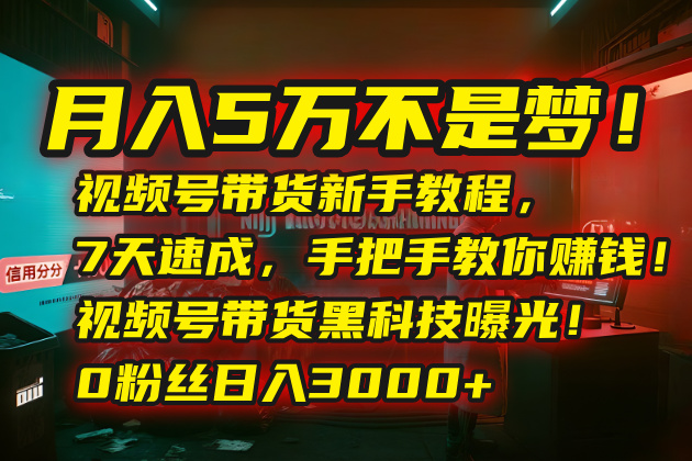 月入5万不是梦！视频号带货新手教程，7天速成，手把手教你赚钱！视频号… - 创享网-创享网