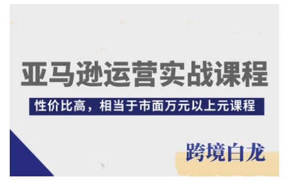亚马逊运营实战课程，亚马逊从入门到精通，性价比高，相当于市面万元以上元课程 - 创享网-创享网