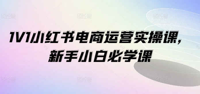 1V1小红书电商运营实操课，新手小白必学课 - 创享网-创享网