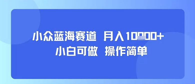小众蓝海赛道，小白可做，操作简单，每天30分钟，月入1W+ - 创享网-创享网