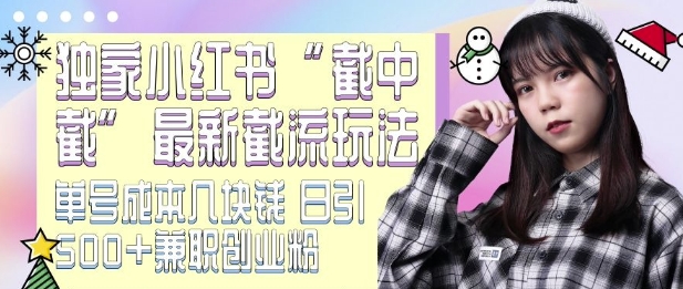 最新小红书截流玩法 独家截中截 单号成本几块钱 日引500+CY粉JZ粉 - 创享网-创享网