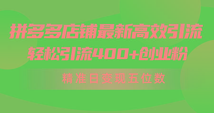 (10041期)拼多多店铺最新高效引流术，轻松引流400+创业粉，精准日变现五位数！ - 创享网-创享网