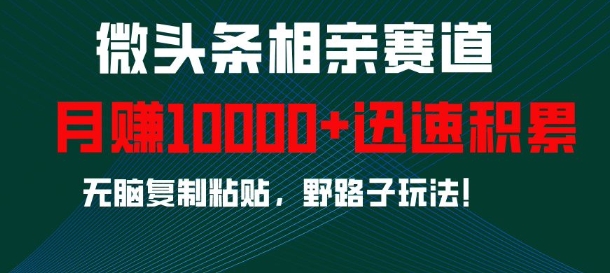 微头条相亲赛道，迅速积累，无脑复制粘贴，野路子玩法，月入1w - 创享网-创享网