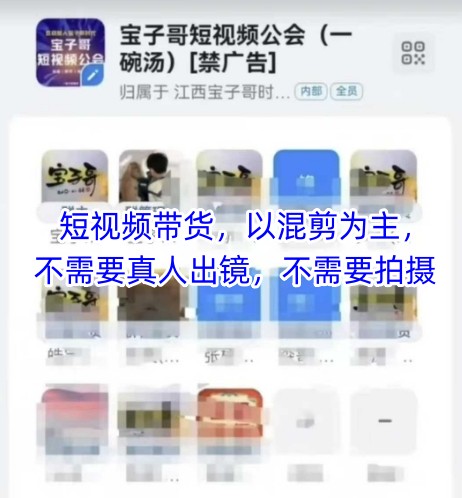 宝子哥头部团队短视频带货，以混剪为主，不需要真人出镜，不需要拍摄【更新11月】 - 创享网-创享网