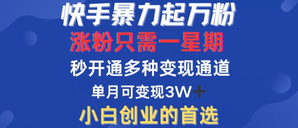 快手暴力起万粉，涨粉只需一星期，多种变现模式，直接秒开万合，单月变现过W【揭秘】 - 创享网-创享网
