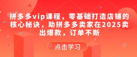 拼多多vip课程，零基础打造店铺的核心秘诀，助拼多多卖家在2025卖出爆款，订单不断 - 创享网-创享网