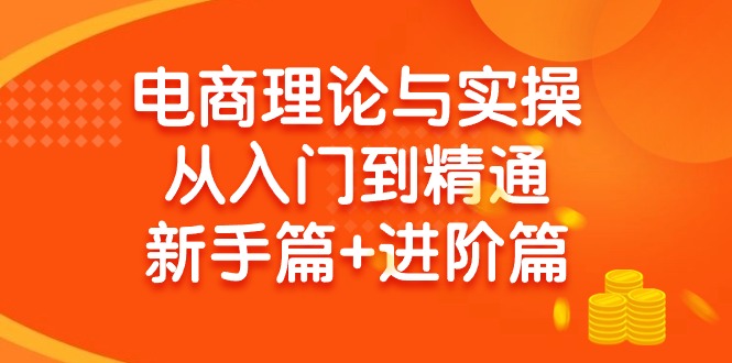 (9576期)电商理论与实操从入门到精通 新手篇+进阶篇 - 创享网-创享网