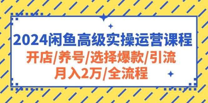 2024闲鱼高级实操运营课程：开店/养号/选择爆款/引流/月入2万/全流程 - 创享网-创享网