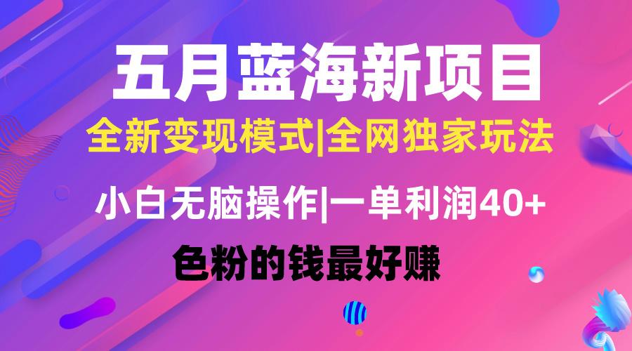 五月蓝海项目全新玩法，小白无脑操作，一天几分钟，矩阵操作，月入4万+ - 创享网-创享网
