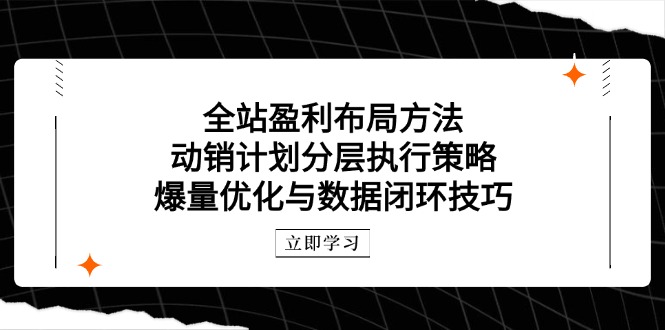 全站盈利布局方法：动销计划分层执行策略，爆量优化与数据闭环技巧 - 创享网-创享网
