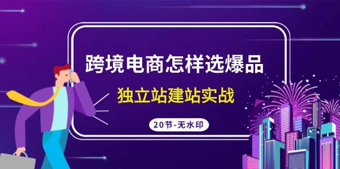 (9369期)跨境电商怎样选爆品，独立站建站实战(20节高清无水印课) - 创享网-创享网