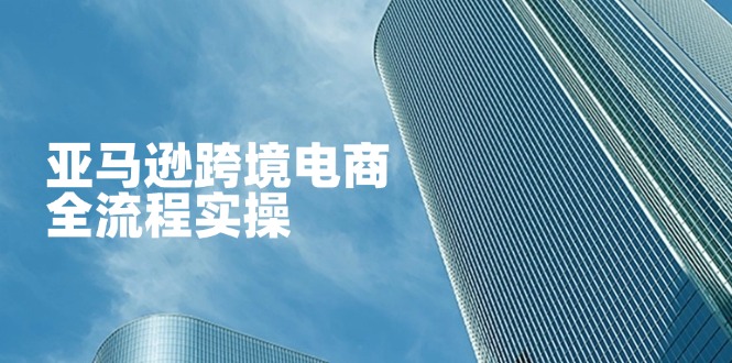 亚马逊跨境电商全流程实操，教你从零开始，掌握店铺运营与广告技巧 - 创享网-创享网