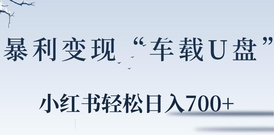 小红书“车载U盘”暴利引流，日入700+ - 创享网-创享网
