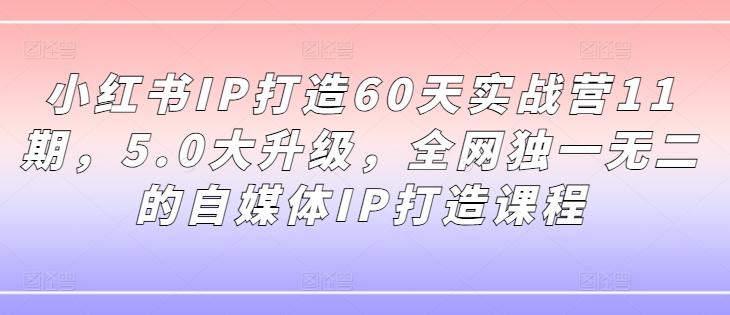 小红书IP打造60天实战营11期，5.0大升级，全网独一无二的自媒体IP打造课程 - 创享网-创享网