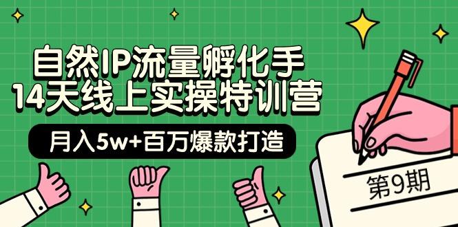 (9881期)自然IP流量孵化手 14天线上实操特训营【第9期】月入5w+百万爆款打造 (74节) - 创享网-创享网