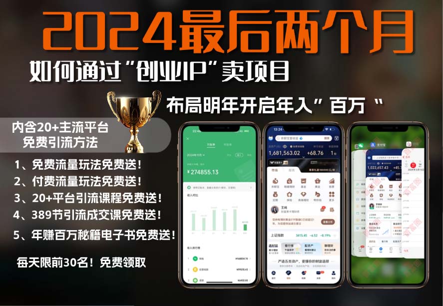 2024最后两个月如何通过”创业IP“卖项目年入”百万“,创业IP+最强引流... - 创享网-创享网