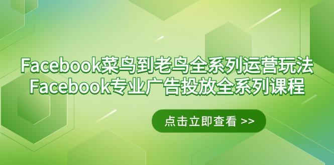 Facebook-菜鸟到老鸟全系列运营玩法+Facebook-专业广告投放全系列课程 - 创享网-创享网