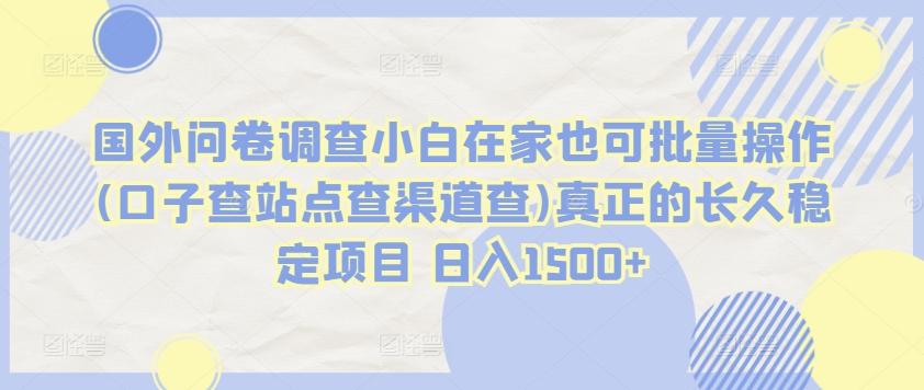 国外问卷调查小白在家也可批量操作(口子查站点查渠道查)真正的长久稳定项目 日入1500+【揭秘】 - 创享网-创享网