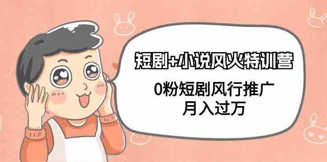 小说+短剧风火特训营，0粉短剧小说风行推广，实现月入过万 - 创享网-创享网