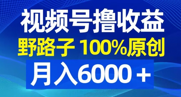 视频号野路子撸收益，100%原创，条条爆款，月入6000＋【揭秘】 - 创享网-创享网