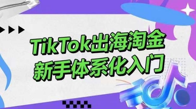 TikTok出海淘金，新手体系化入门，零基础快速入门，掌握短视频、直播带货等引流到变现的知识 - 创享网-创享网
