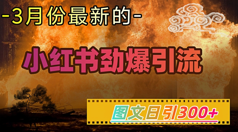 小红书超劲爆引流手段，图文日引300+轻松变现1W - 创享网-创享网